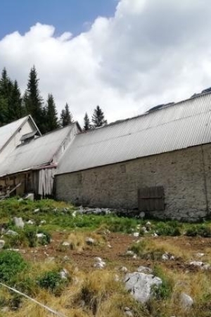 Mountain Pasture Duplje