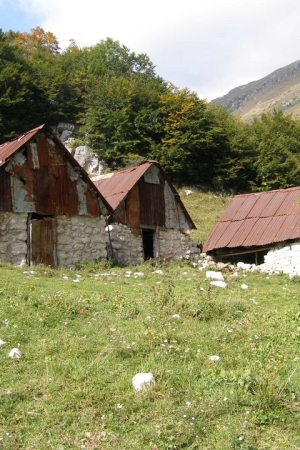 Mountain Pasture Zaprikraj