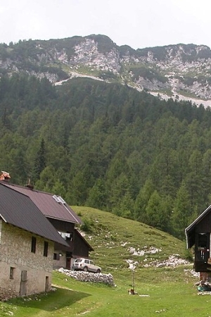 Mountain Pasture Kranjska dolina