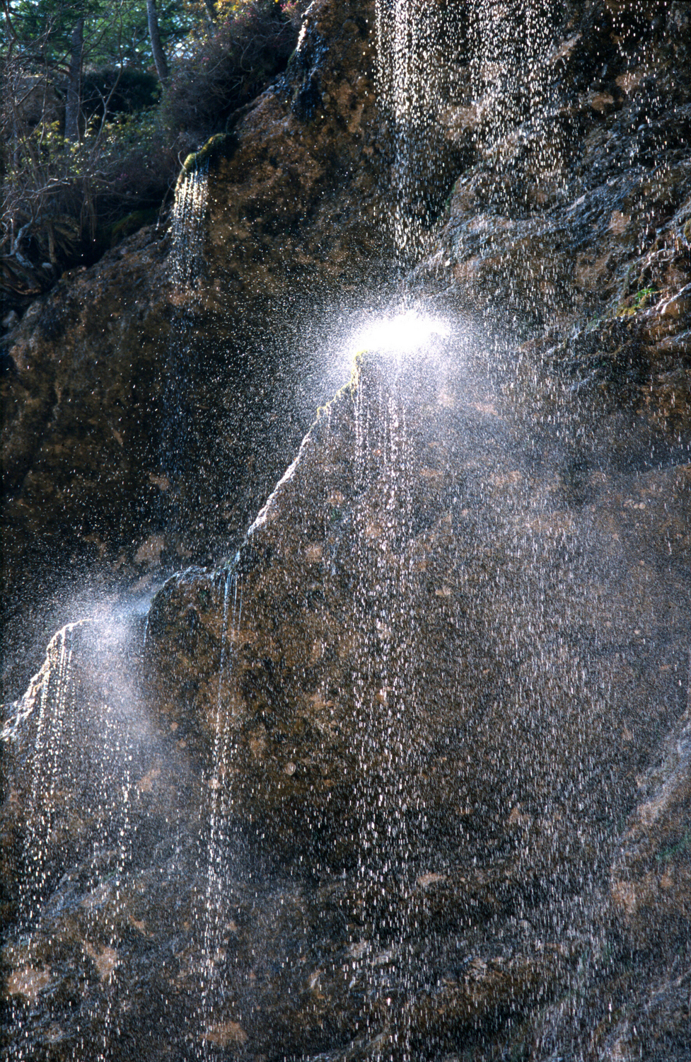 Dekorativni element